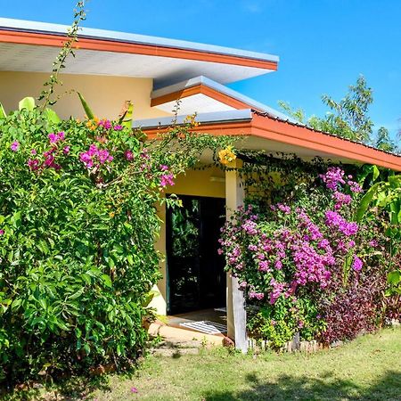 ראיונג Elsie Evans Art Retreat מראה חיצוני תמונה